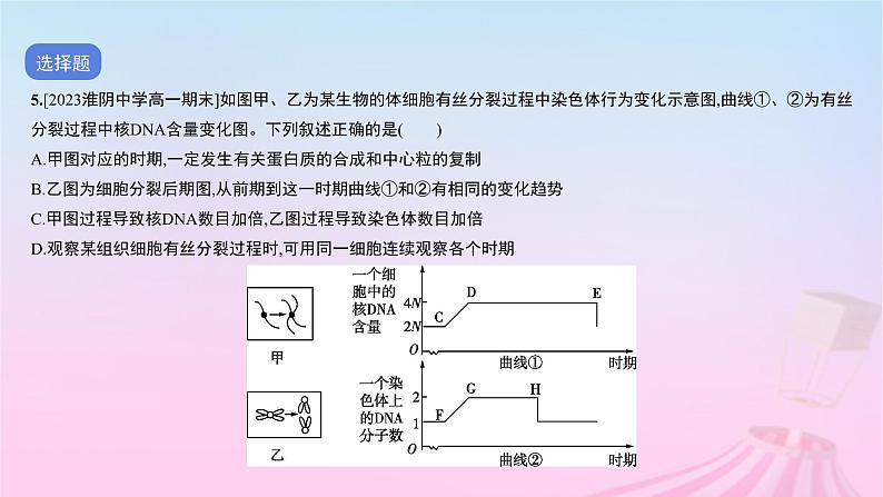 2023_2024学年新教材高中生物专题三细胞的增殖分化衰老和死亡作业课件新人教版必修1第7页