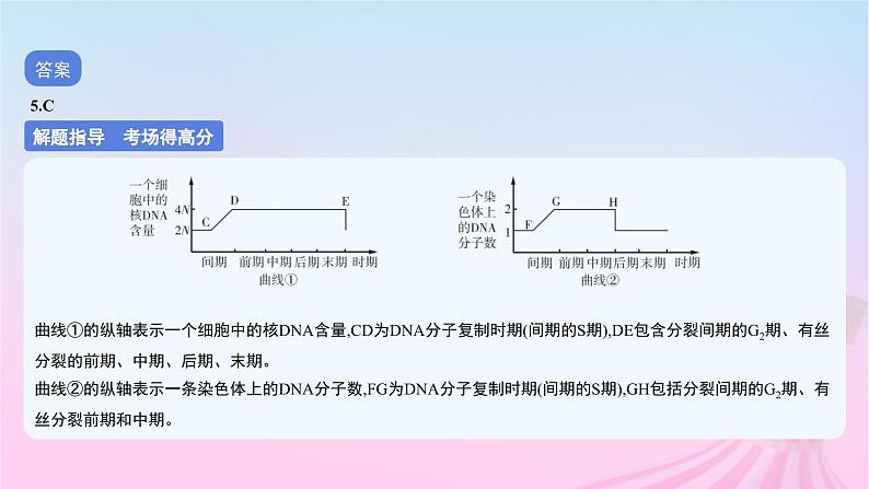 2023_2024学年新教材高中生物专题三细胞的增殖分化衰老和死亡作业课件新人教版必修1第8页