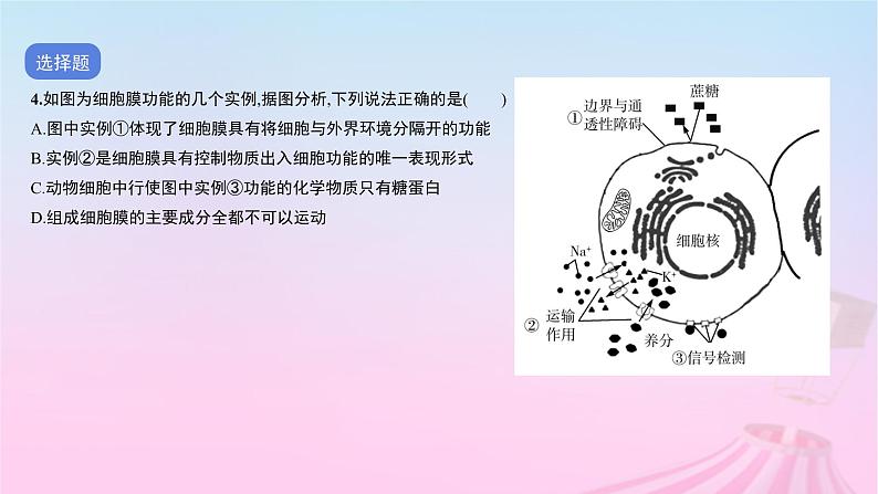 2023_2024学年新教材高中生物第二单元作业课件A新人教版必修1第6页