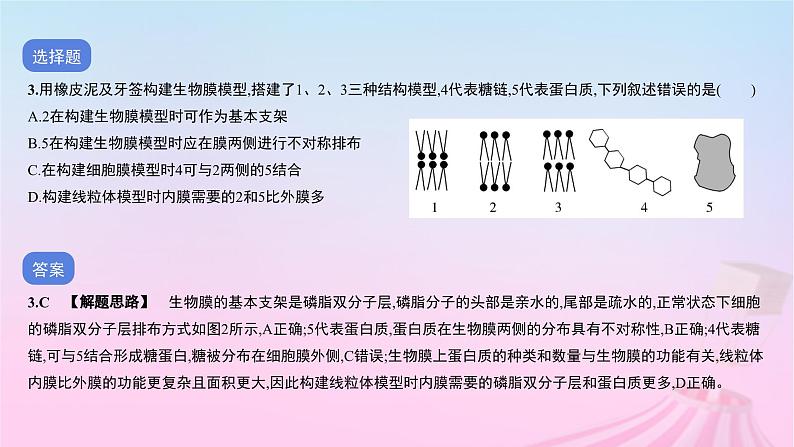 2023_2024学年新教材高中生物第二单元作业课件B新人教版必修1第4页