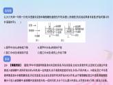 2023_2024学年新教材高中生物第三单元作业课件A新人教版必修1