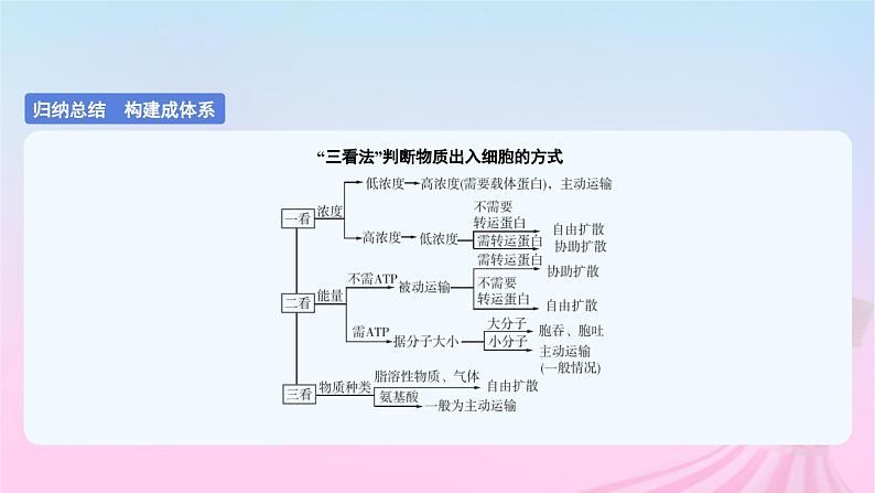 2023_2024学年新教材高中生物第三单元作业课件B新人教版必修106