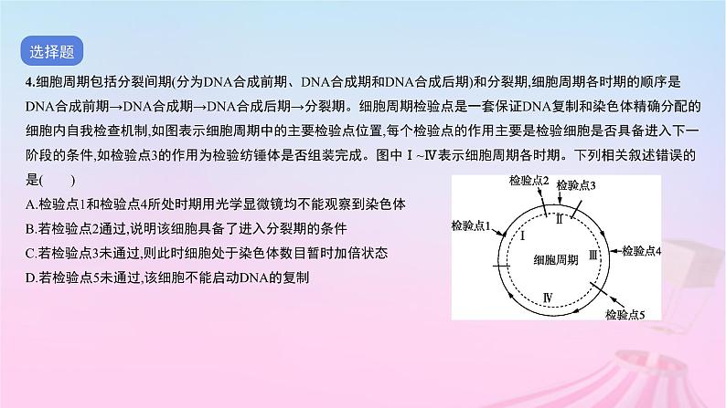 2023_2024学年新教材高中生物第五单元作业课件B新人教版必修106