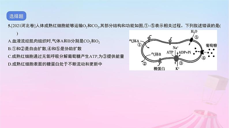 2023_2024学年新教材高中生物专题二细胞的代谢二作业课件新人教版必修108