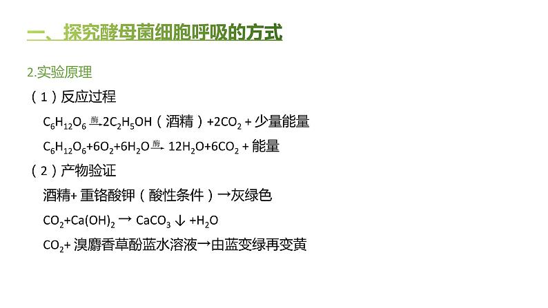 高中生物人教版（2019）必修1第五章5.3《细胞呼吸的原理和应用》课件+同步练习04