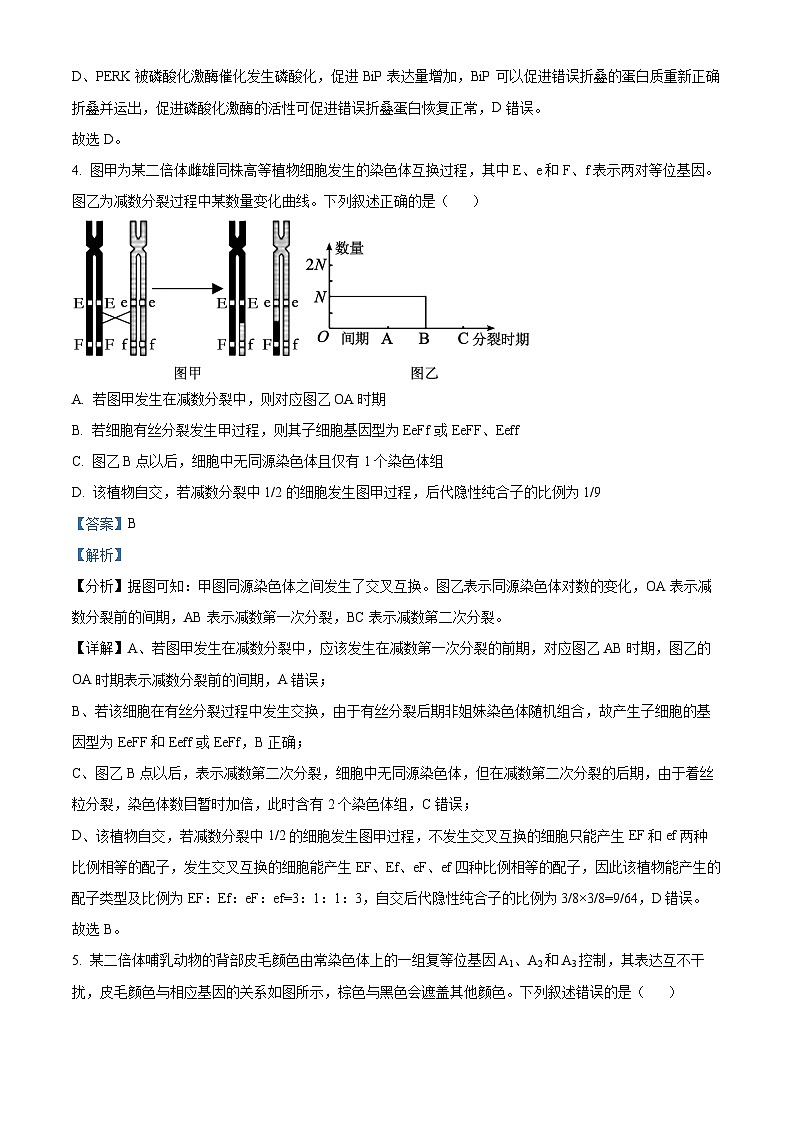 山东省济宁市邹城市一中2022-2023学年高三上学期期末生物试题（解析版）第3页