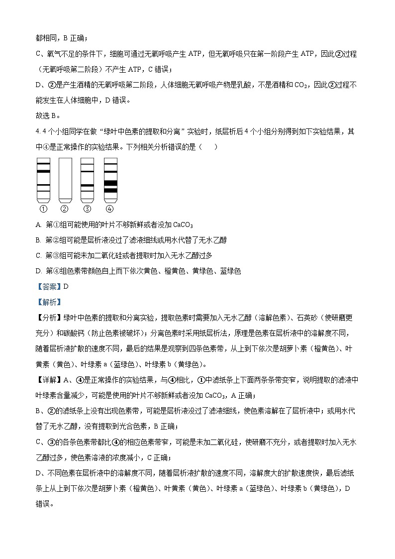 新疆生产建设兵团二师八一中2022-2023学年高一下学期期末生物试题（解析版）03