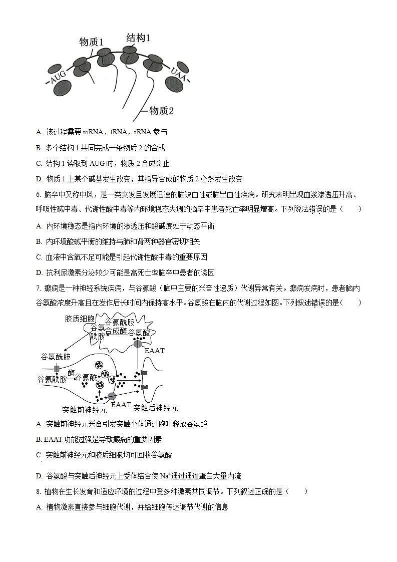 精品解析：广东省六校（东莞中学、广州二中、惠州一中、深圳实验、珠海一中、中山纪念中学）2023-2024学年高三上学期第一次联考生物试题（原卷版）第3页