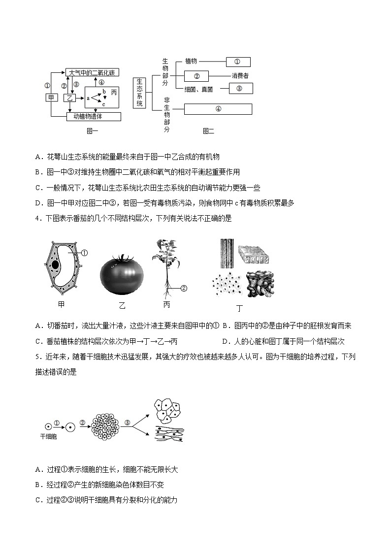 生物02 - 2023年秋季高一入学考试模拟卷（4份打包，原卷版+答题卡+解析版）02
