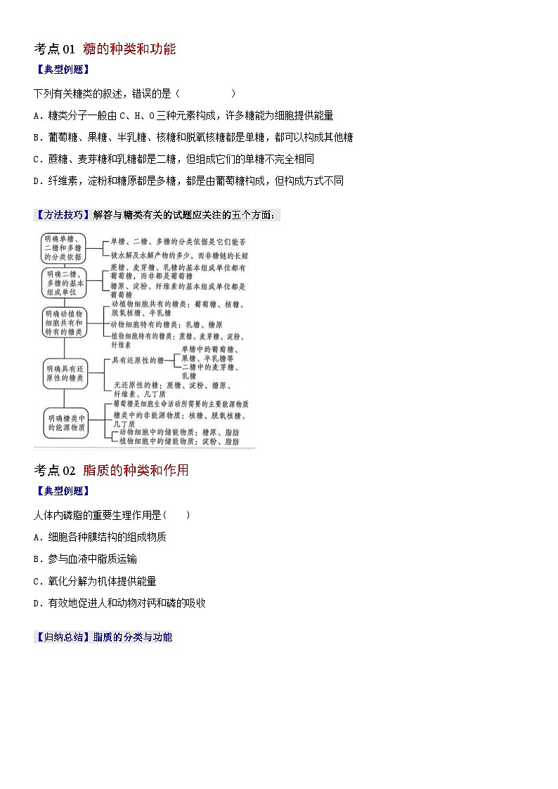 人教版高中 生物(必修一) 同步精品讲义2.3 细胞中的糖类和脂质（2份打包，原卷版+教师版）02