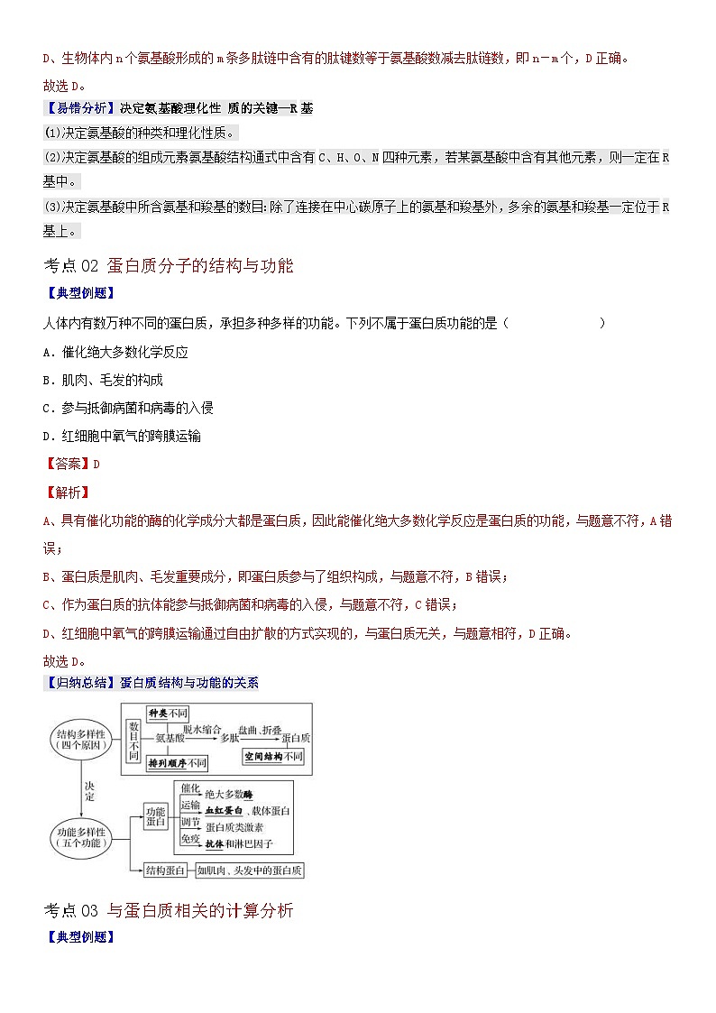 人教版高中 生物(必修一) 同步精品讲义2.4 蛋白质是生命活动的主要承担者（2份打包，原卷版+教师版）03