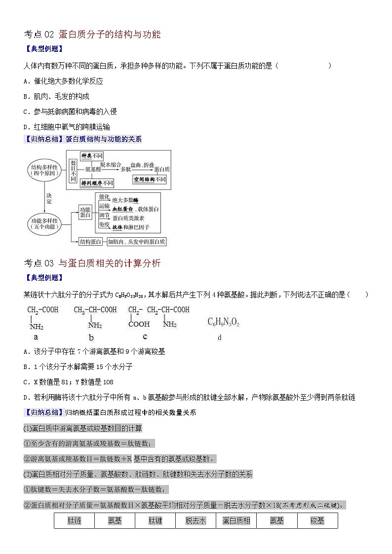 人教版高中 生物(必修一) 同步精品讲义2.4 蛋白质是生命活动的主要承担者（2份打包，原卷版+教师版）03