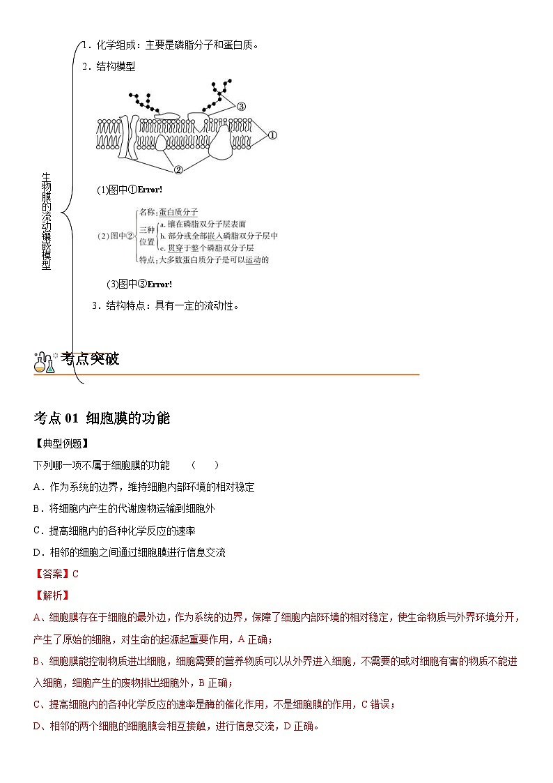 人教版高中 生物(必修一) 同步精品讲义3.1 细胞膜的结构和功能（2份打包，原卷版+教师版）02