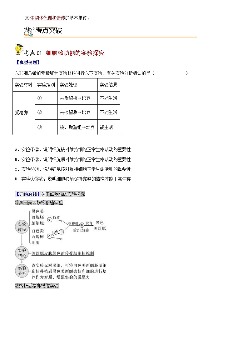 人教版高中 生物(必修一) 同步精品讲义3.3 细胞核的结构和功能（2份打包，原卷版+教师版）02