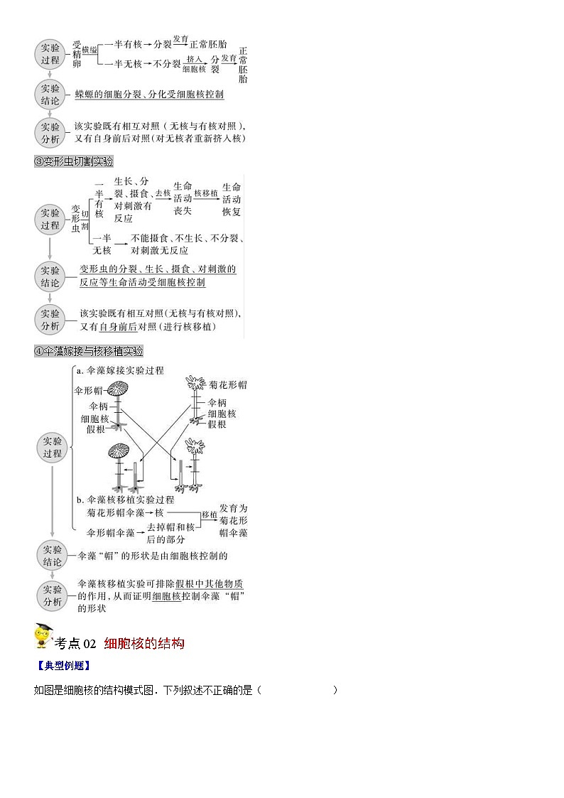 人教版高中 生物(必修一) 同步精品讲义3.3 细胞核的结构和功能（2份打包，原卷版+教师版）03