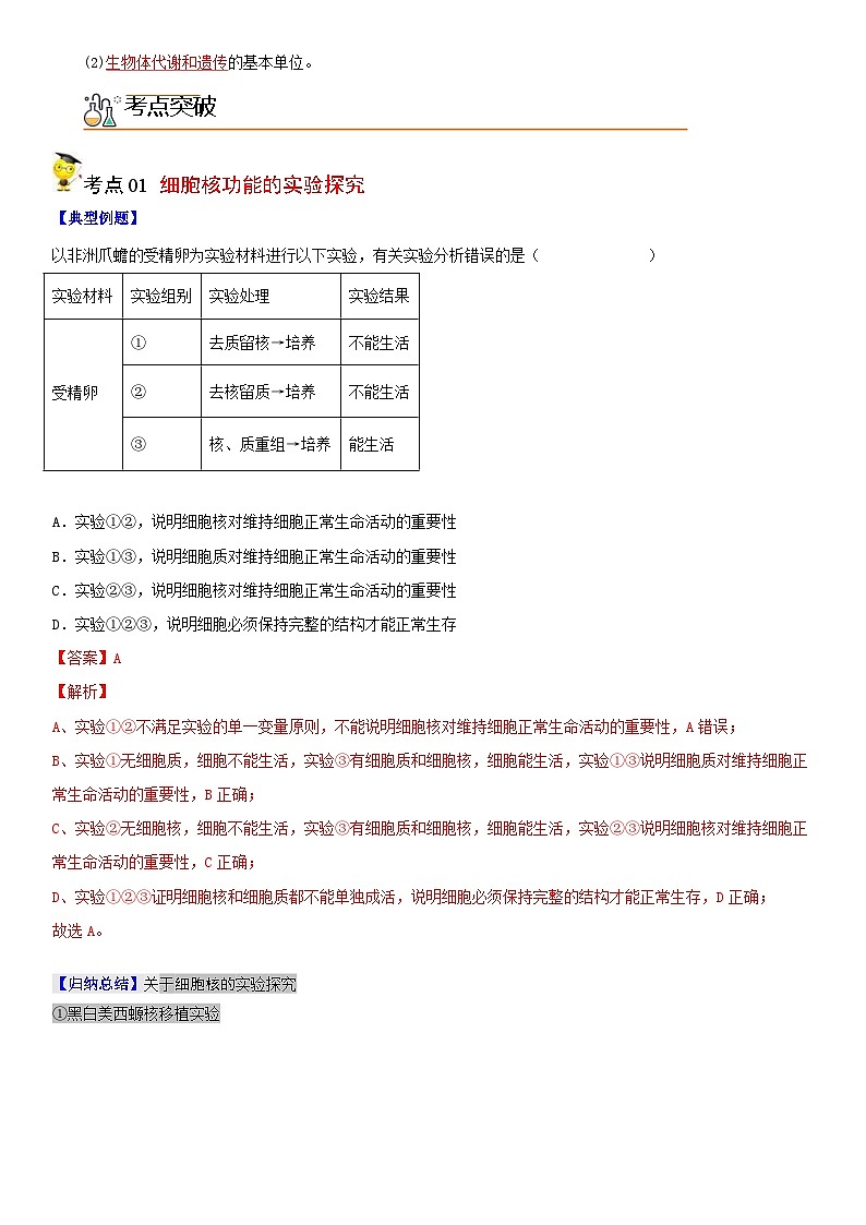 人教版高中 生物(必修一) 同步精品讲义3.3 细胞核的结构和功能（2份打包，原卷版+教师版）02
