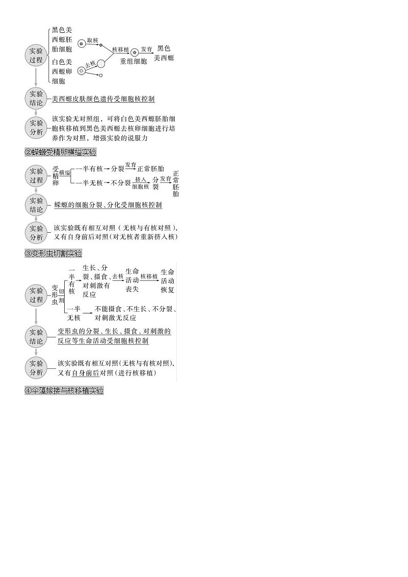 人教版高中 生物(必修一) 同步精品讲义3.3 细胞核的结构和功能（2份打包，原卷版+教师版）03