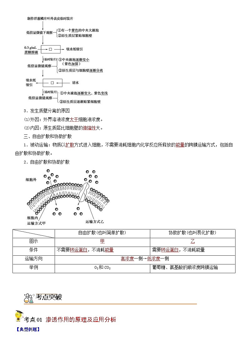 人教版高中 生物(必修一) 同步精品讲义4.1 被动运输（2份打包，原卷版+教师版）02