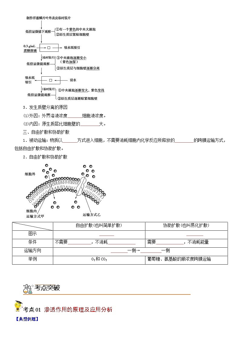 人教版高中 生物(必修一) 同步精品讲义4.1 被动运输（2份打包，原卷版+教师版）02