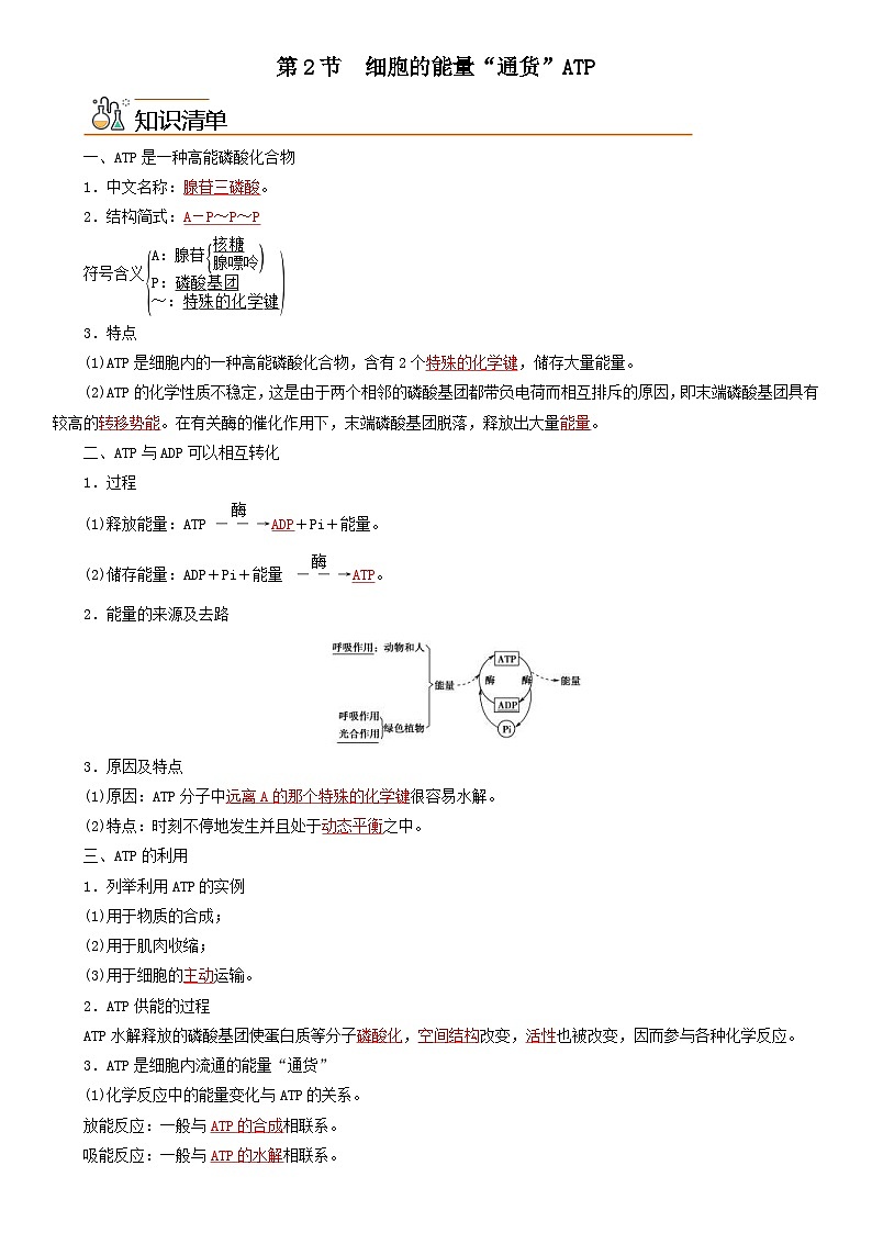 人教版高中 生物(必修一) 同步精品讲义5.2 细胞的能量“货币”ATP（2份打包，原卷版+教师版）01