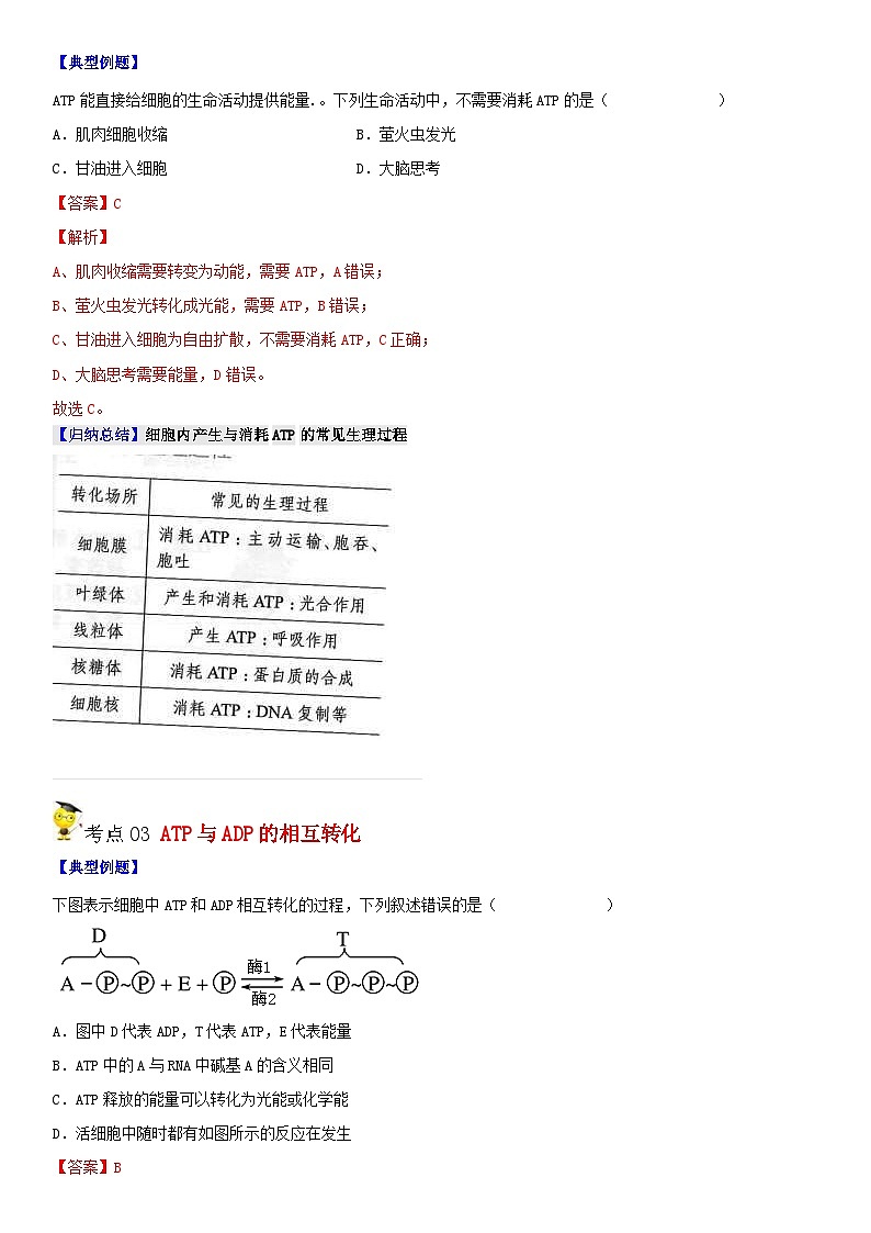 人教版高中 生物(必修一) 同步精品讲义5.2 细胞的能量“货币”ATP（2份打包，原卷版+教师版）03
