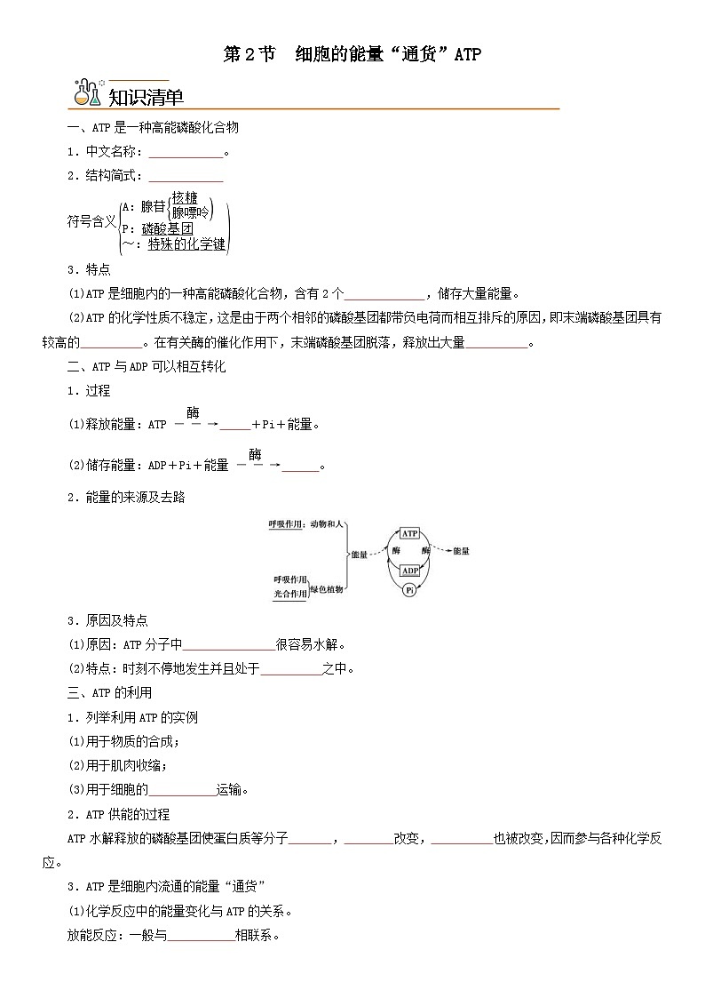 人教版高中 生物(必修一) 同步精品讲义5.2 细胞的能量“货币”ATP（2份打包，原卷版+教师版）01