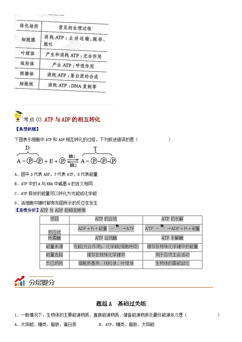 人教版高中 生物(必修一) 同步精品讲义5.2 细胞的能量“货币”ATP（2份打包，原卷版+教师版）03