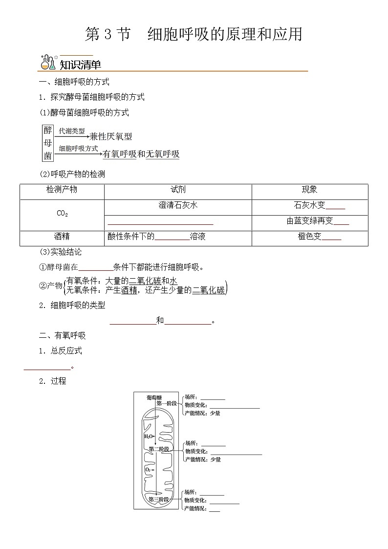 人教版高中 生物(必修一) 同步精品讲义5.3 细胞呼吸的原理和应用（2份打包，原卷版+教师版）01