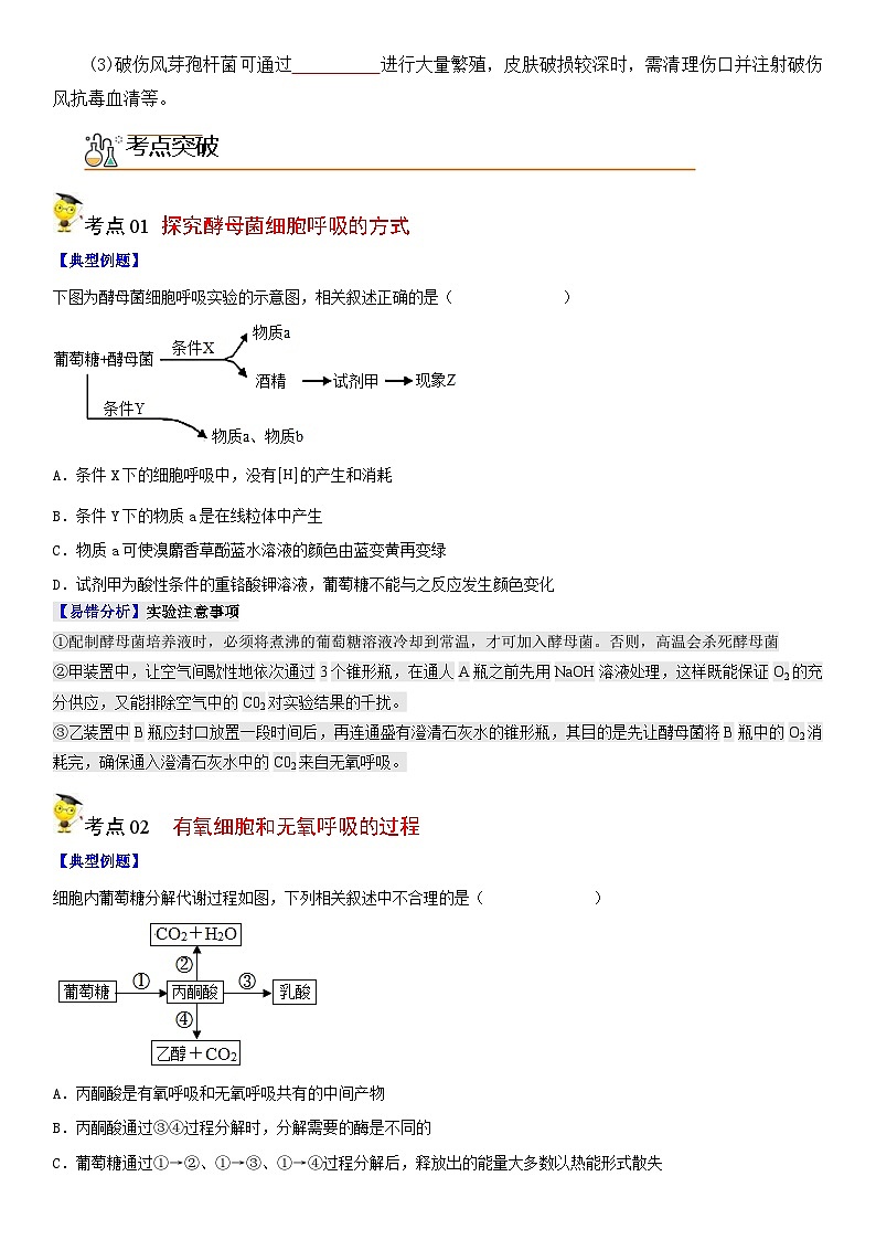 人教版高中 生物(必修一) 同步精品讲义5.3 细胞呼吸的原理和应用（2份打包，原卷版+教师版）03