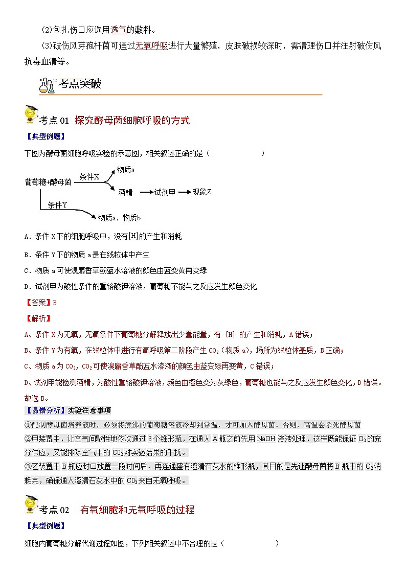 人教版高中 生物(必修一) 同步精品讲义5.3 细胞呼吸的原理和应用（2份打包，原卷版+教师版）03