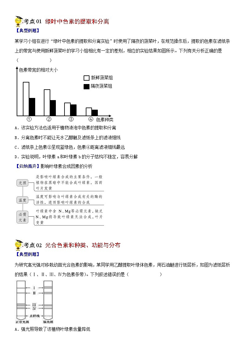 人教版高中 生物(必修一) 同步精品讲义5.4.1 捕获光能的色素和结构（2份打包，原卷版+教师版）03