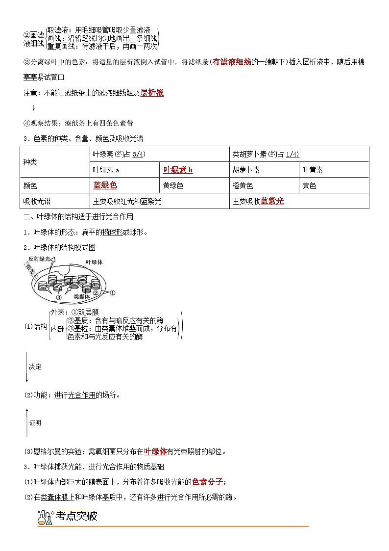 人教版高中 生物(必修一) 同步精品讲义5.4.1 捕获光能的色素和结构（2份打包，原卷版+教师版）02