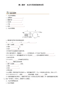 人教版 (2019)必修1《分子与细胞》二 光合作用的原理和应用精品课时作业