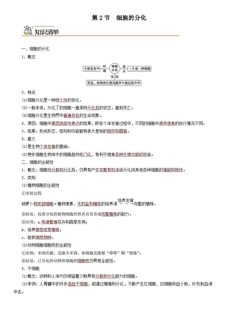 人教版高中 生物(必修一) 同步精品讲义6.2 细胞的分化（2份打包，原卷版+教师版）01