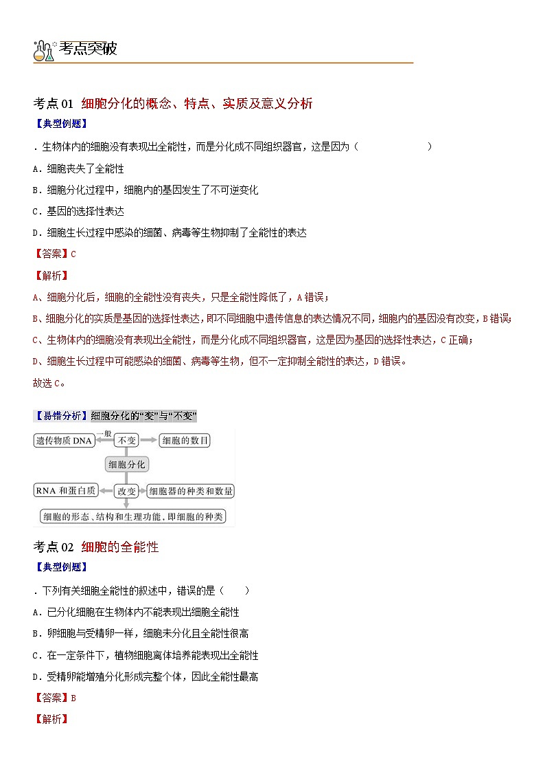 人教版高中 生物(必修一) 同步精品讲义6.2 细胞的分化（2份打包，原卷版+教师版）02
