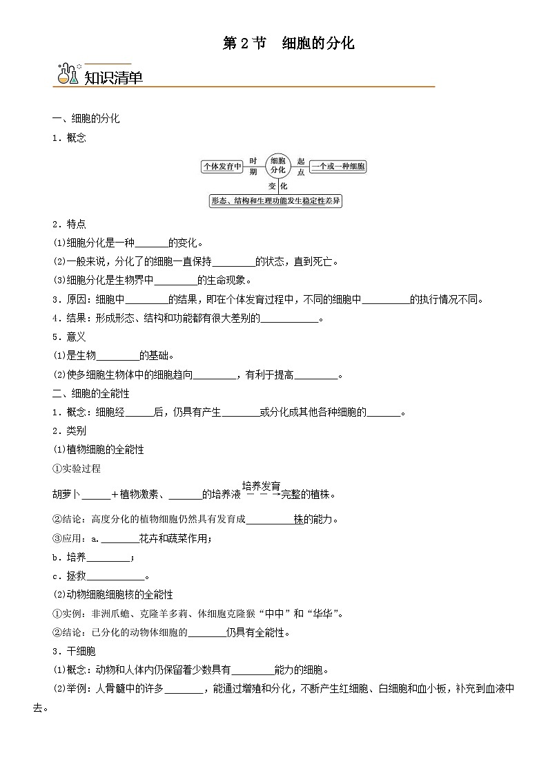 人教版高中 生物(必修一) 同步精品讲义6.2 细胞的分化（2份打包，原卷版+教师版）01