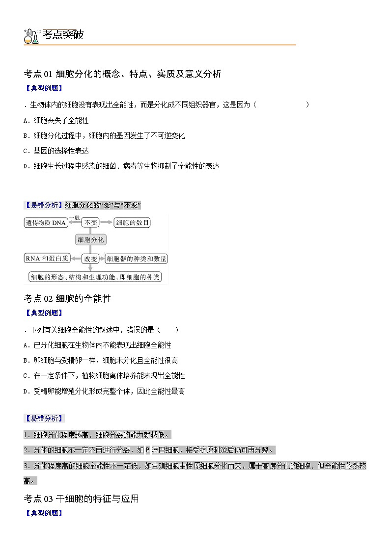 人教版高中 生物(必修一) 同步精品讲义6.2 细胞的分化（2份打包，原卷版+教师版）02