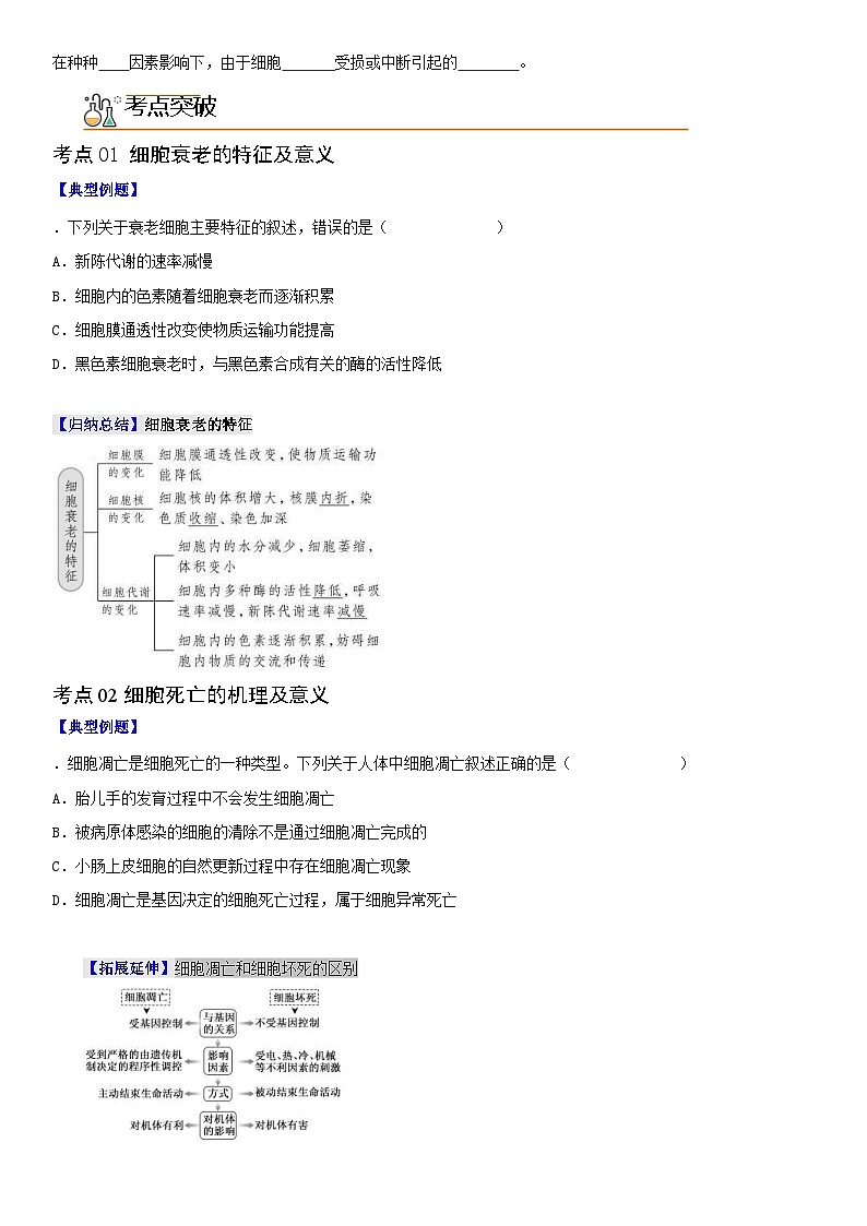 人教版高中 生物(必修一) 同步精品讲义6.3 细胞的衰老和死亡（2份打包，原卷版+教师版）02