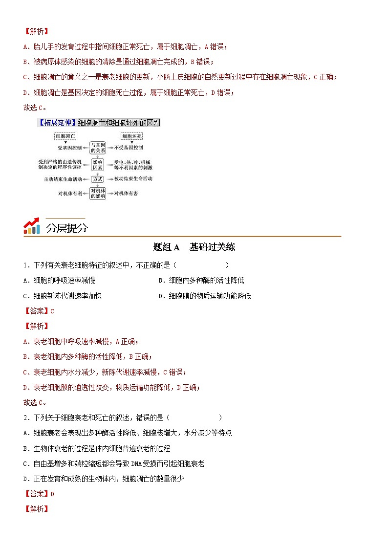 人教版高中 生物(必修一) 同步精品讲义6.3 细胞的衰老和死亡（2份打包，原卷版+教师版）03