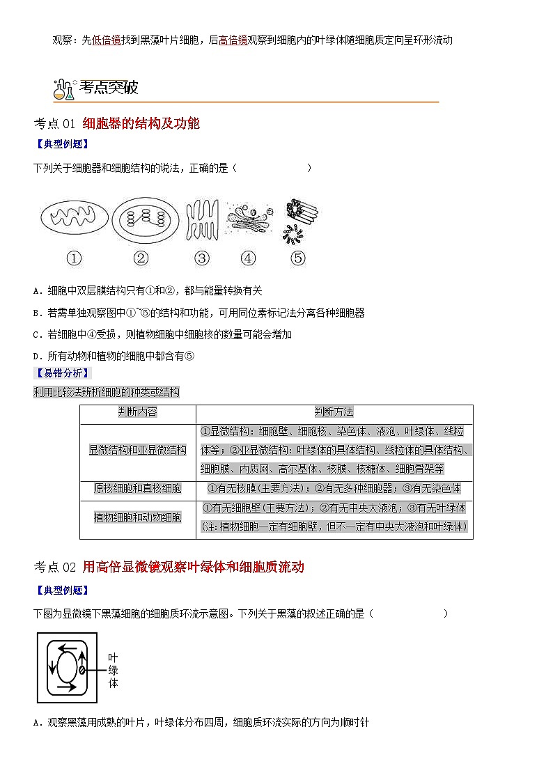 人教版高中 生物(必修一) 同步精品讲义3.2.1 细胞器之间的分工（2份打包，原卷版+教师版）02