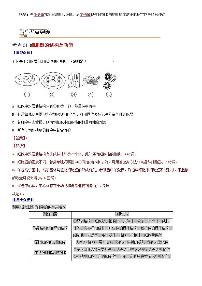 人教版高中 生物(必修一) 同步精品讲义3.2.1 细胞器之间的分工（2份打包，原卷版+教师版）02