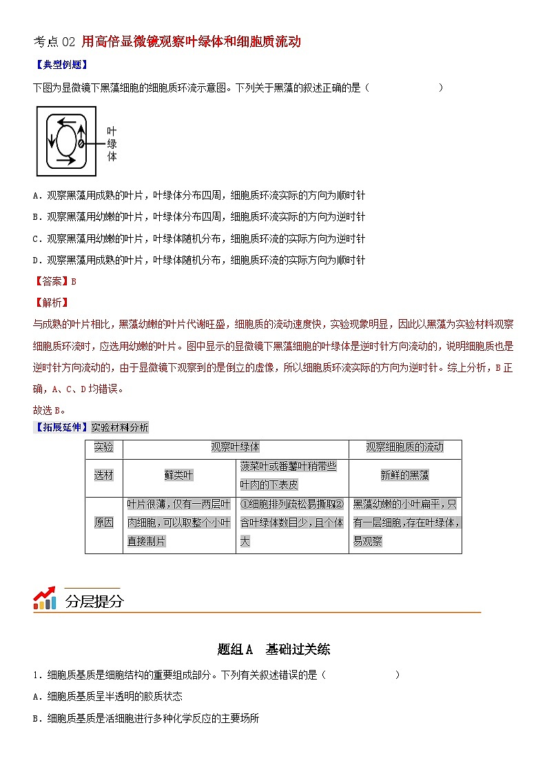 人教版高中 生物(必修一) 同步精品讲义3.2.1 细胞器之间的分工（2份打包，原卷版+教师版）03