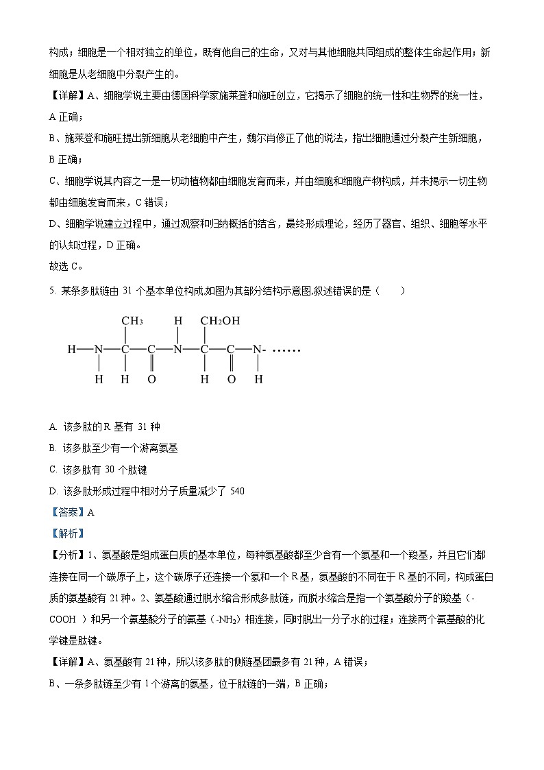 黑龙江省鹤岗市一中2022-2023学年高一下学期开学考试（上学期期末）生物试题（解析版）第3页