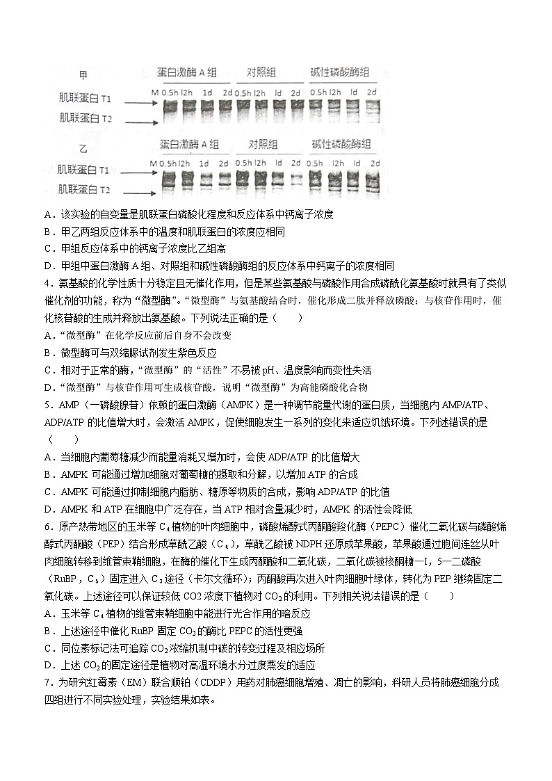 山东省青岛市即墨区2022-2023学年高三上学期期中生物试题第2页