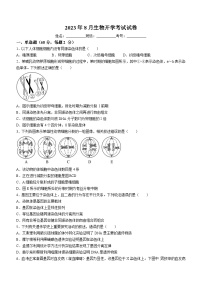 新疆生产建设兵团第二师八一中学2023-2024学年高二上学期开学考试生物试题