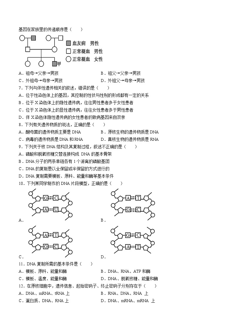 新疆生产建设兵团第二师八一中学2023-2024学年高二上学期开学考试生物试题02
