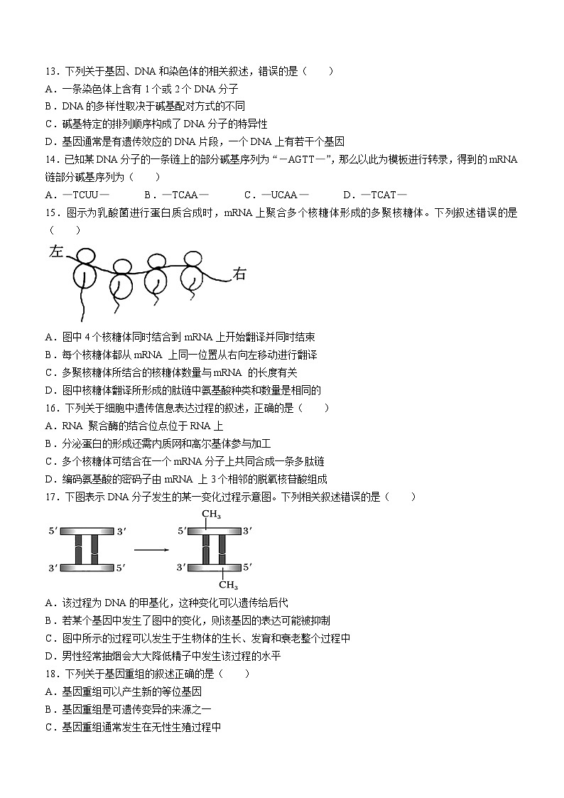 新疆生产建设兵团第二师八一中学2023-2024学年高二上学期开学考试生物试题03