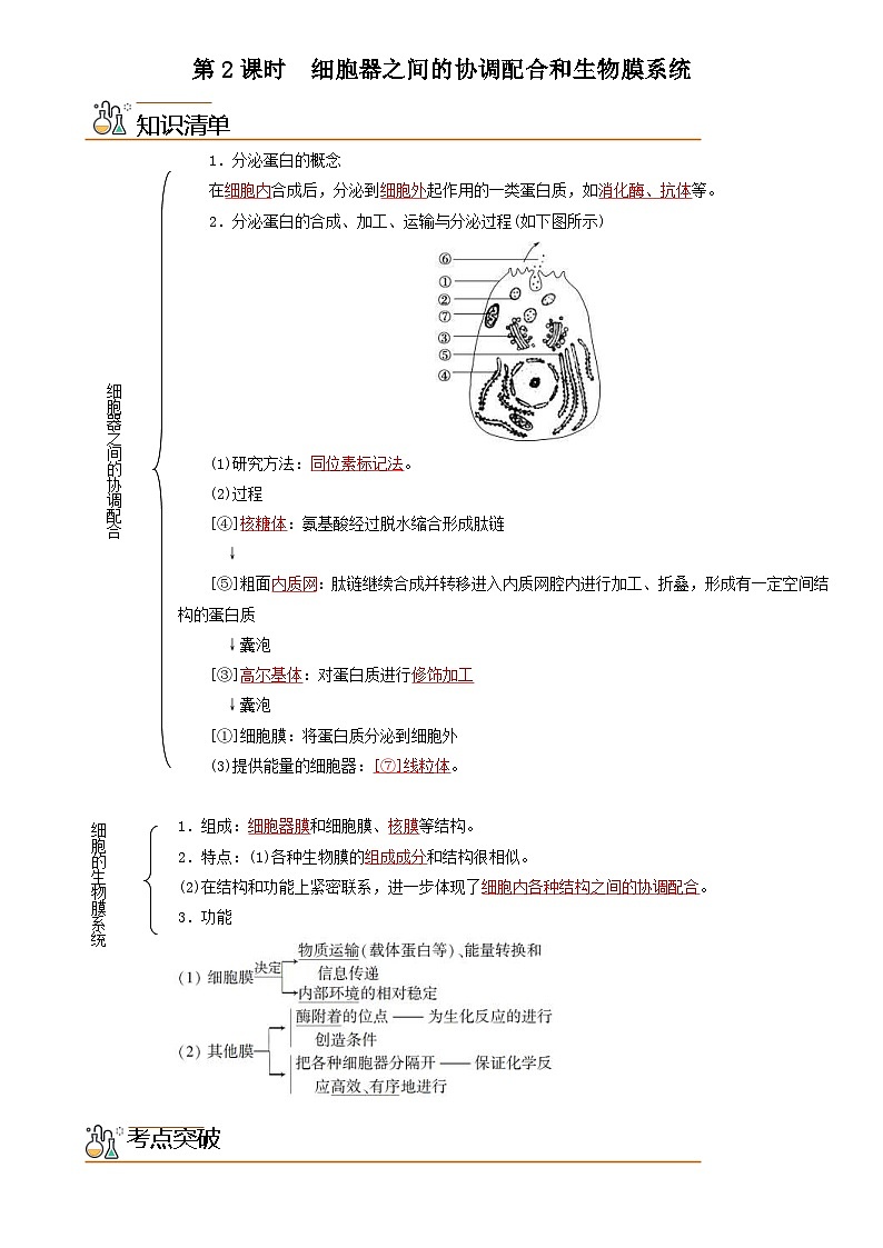人教版高中 生物(必修一) 同步精品讲义3.2.2 细胞器之间的协调配合和生物膜系统（2份打包，原卷版+教师版）01