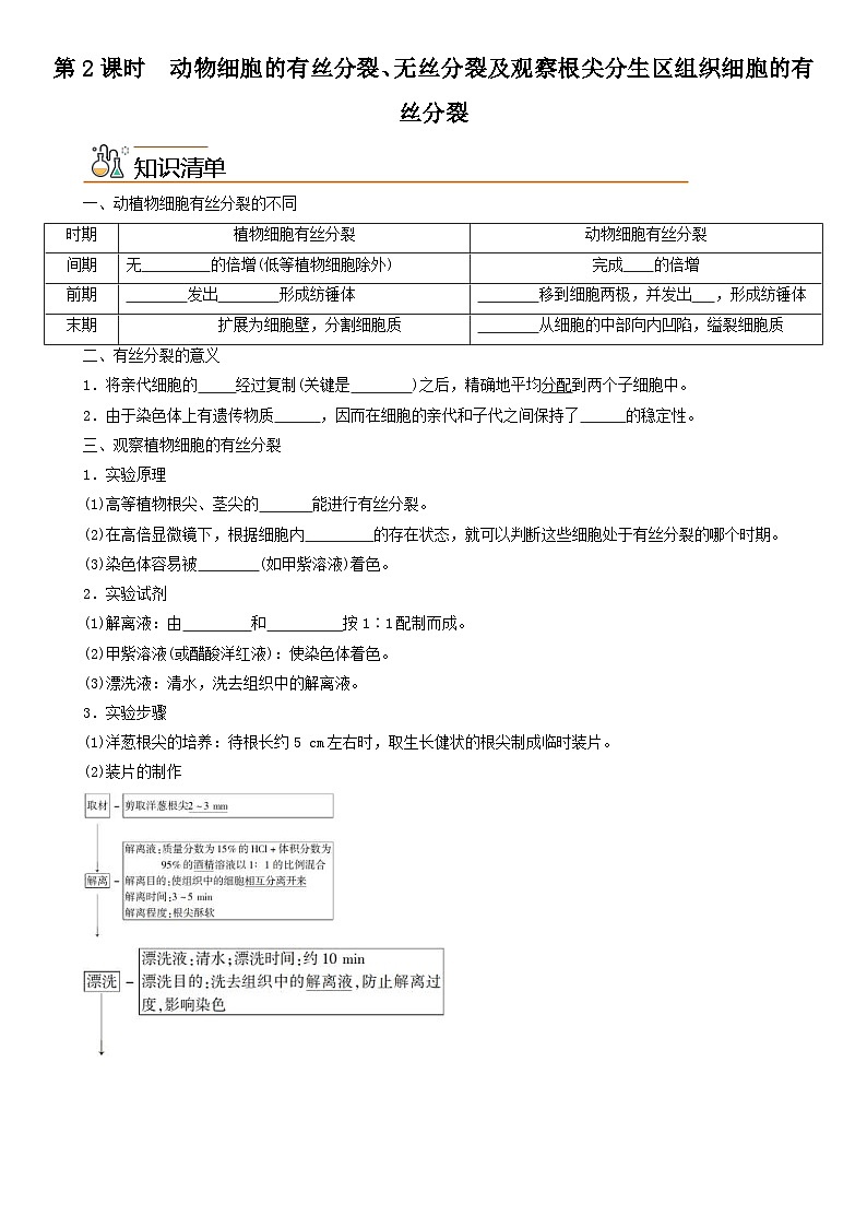 人教版高中 生物(必修一) 同步精品讲义6.1.2 动物细胞的有丝分裂、无丝分裂及观察根尖分生区组织细胞的有丝分裂（2份打包，原卷版+教师版）01