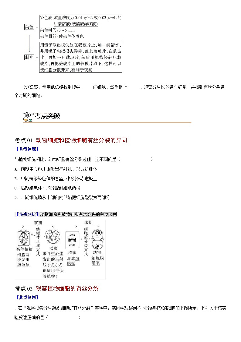 人教版高中 生物(必修一) 同步精品讲义6.1.2 动物细胞的有丝分裂、无丝分裂及观察根尖分生区组织细胞的有丝分裂（2份打包，原卷版+教师版）02